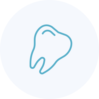 ダミーテキスト